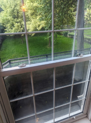 Room available in elephant and castle SE1